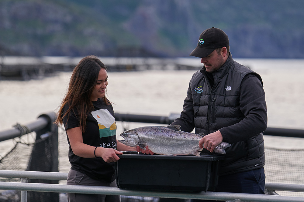 Protecting a premium New Zealand product with the FernMark